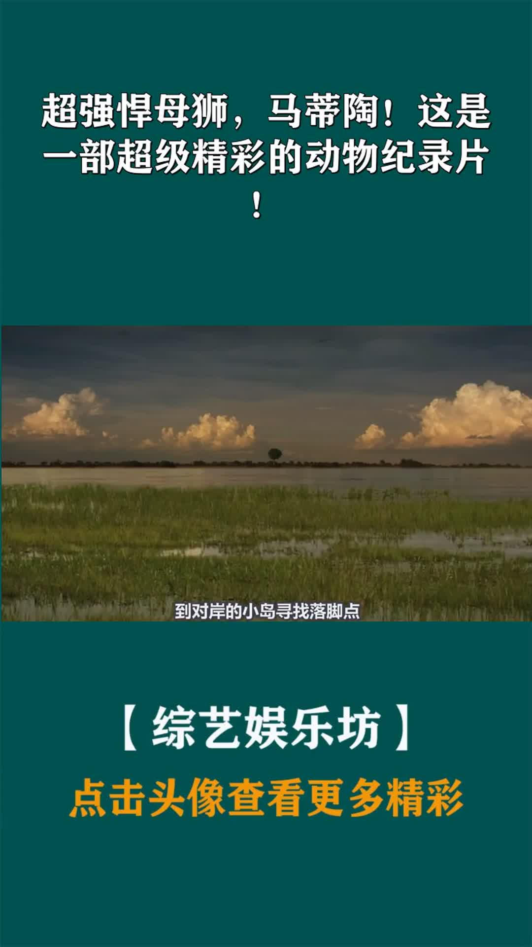 超强悍母狮马蒂陶这是一部超级精彩的动物纪录片