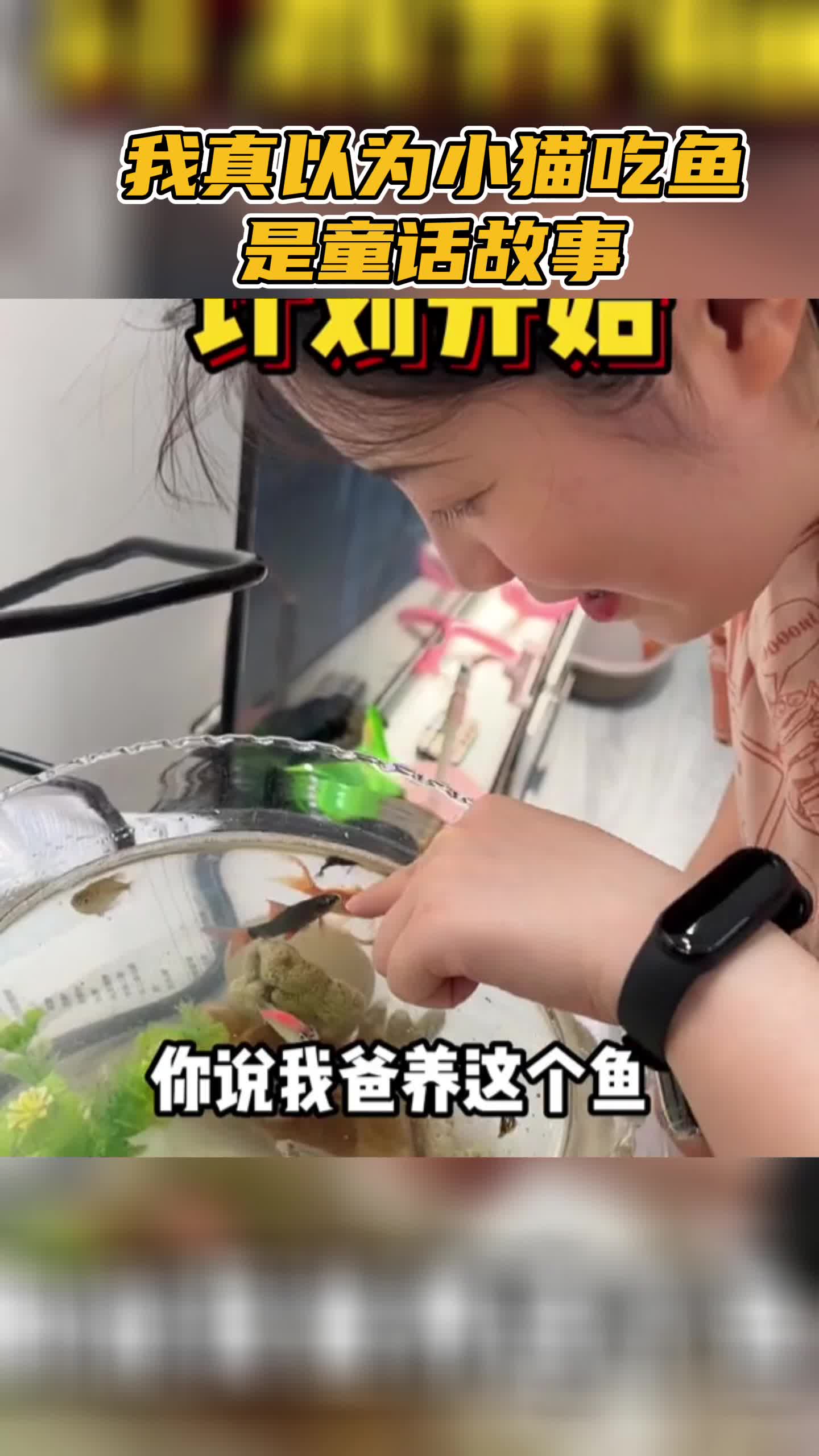 我真以为小猫吃鱼是童话故事