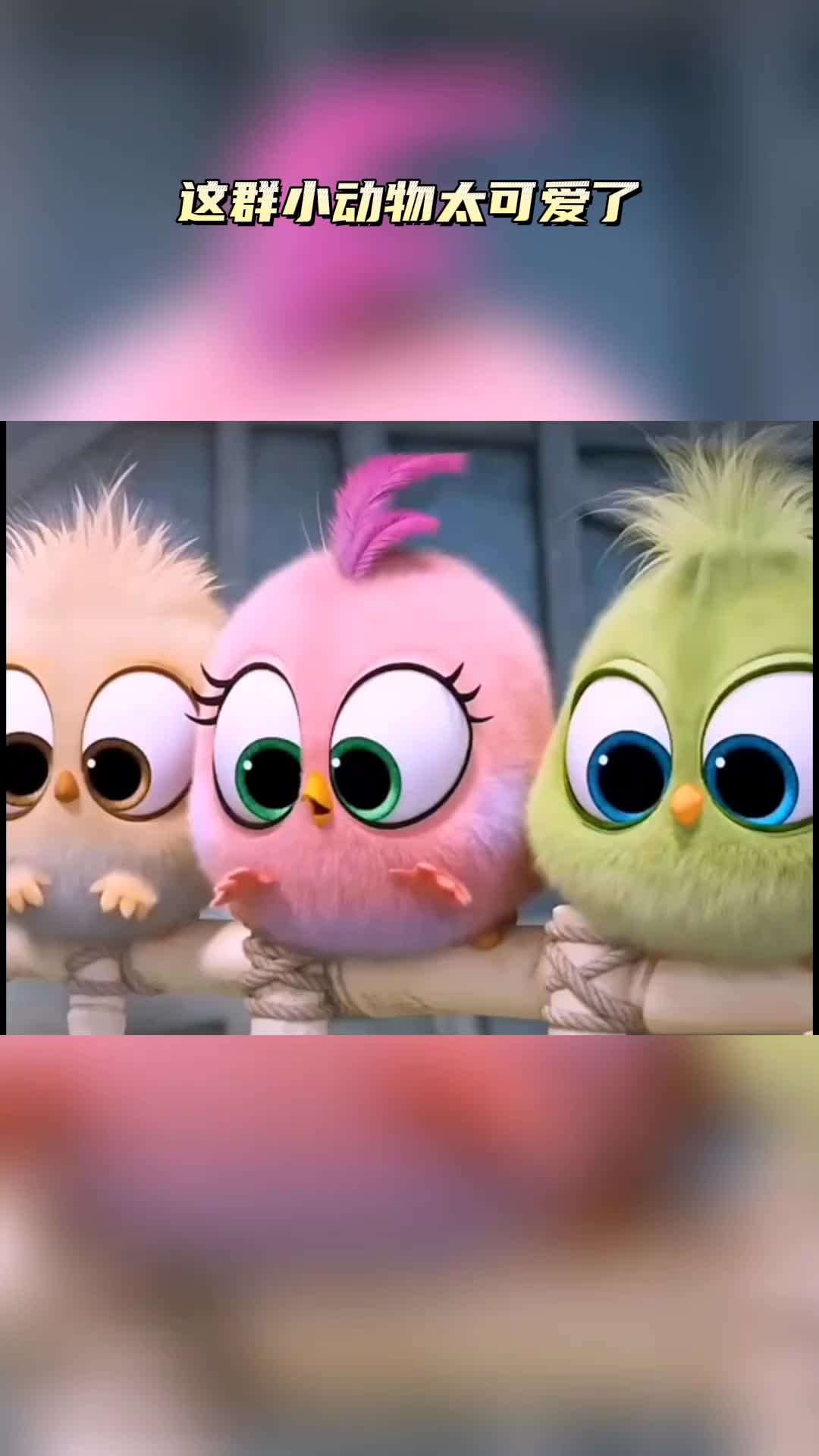 破壳计划#迪士尼这群小动物太可爱了-度小视